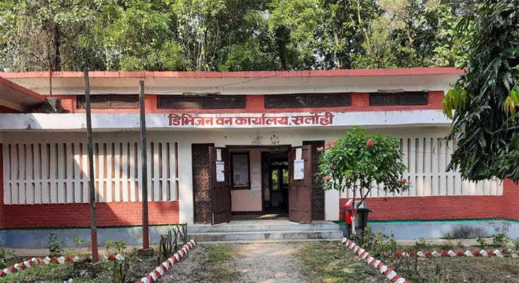सर्लाहीमा अवैधरूपमा काठ चोरी निकासी गर्ने आठजनाविरुद्ध मुद्दा दर्ता