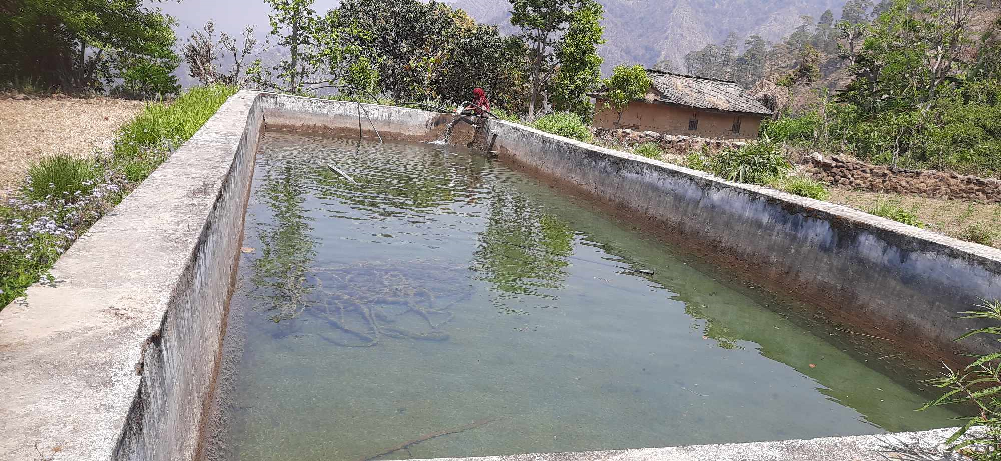 भोजपुरमा जलाधार संरक्षण गर्न ‘एक वडा, एक सार्वजनिक पोखरी’ कार्यक्रम