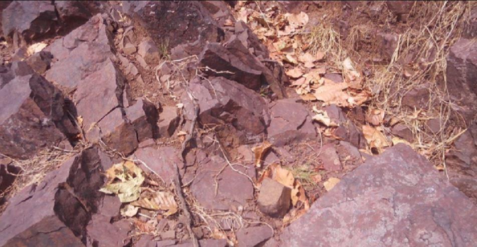 बागलुङको तामाखानी उत्खननका लागि खोजतालस सुरु