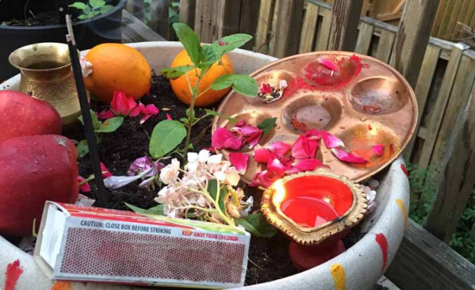 ज्येष्ठ शुक्ल एकादशीः घरका मठमा तुलसीको दल राखिँदै