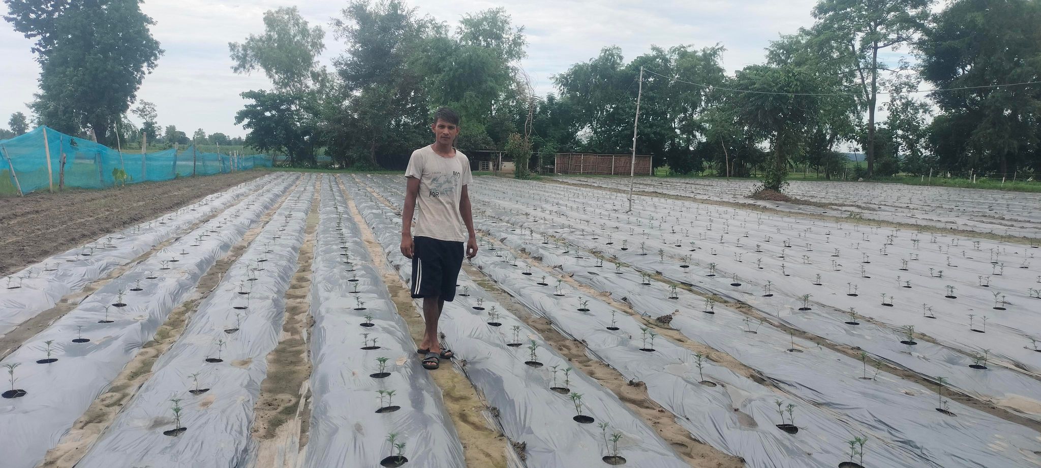 भारतबाट फर्किएर गाउँमै पुष्प व्यवसाय र तरकारीखेतीमा व्यस्त प्रेम, गर्छन् मनग्य आम्दानी