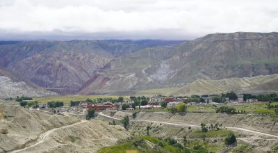 उपल्लो मुस्ताङका किसानलाई स्याउका बिरुवामा अनुदान