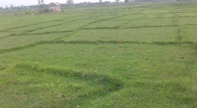व्यक्तिको नाममा दर्ता भएको १९ रोपनी १० आना जग्गा सरकारको नाममा फिर्ता