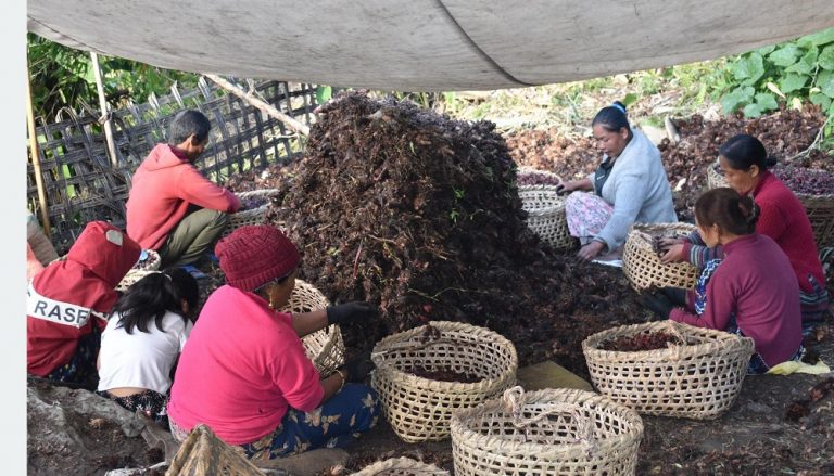 झापामा अलैँची प्रशोधन उद्योग सञ्चालन