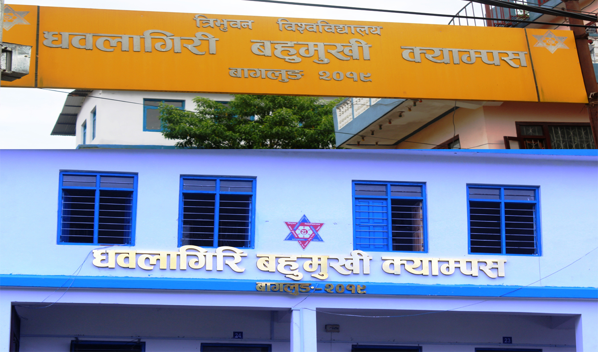 ‘बिबिए’ तहमा धौलागिरि क्याम्पसका छात्र रिजाल  गण्डकी प्रदेशमै उत्कृष्ट