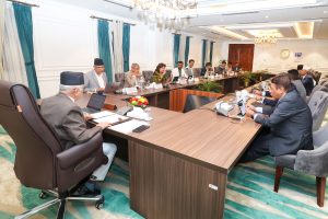 भिजिट भिसा प्रकरण छानबिन गर्न समिति गठन