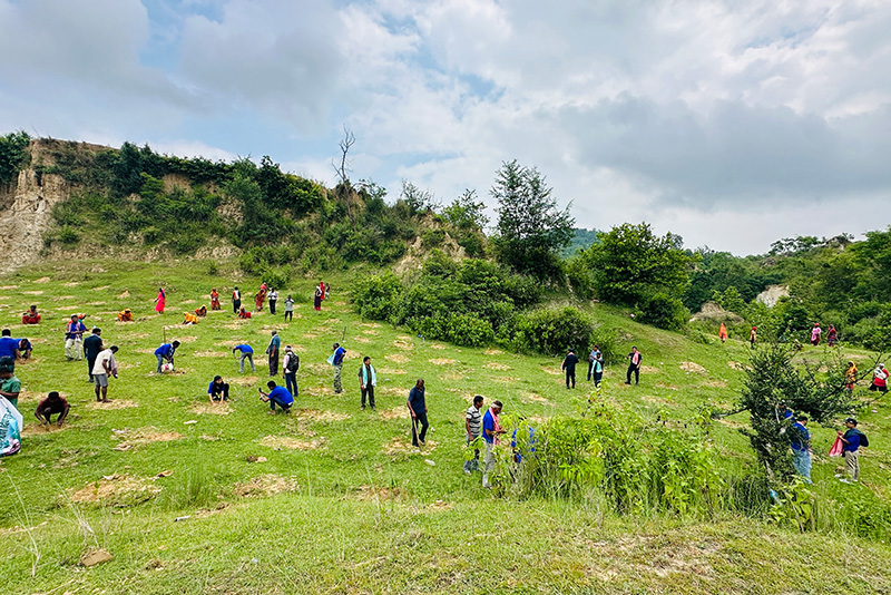 चुरेका नाङ्गा डाँडामा हरियाली अभियान
