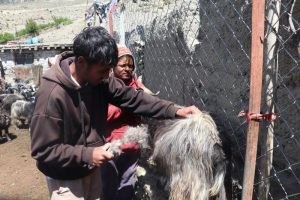 च्याङग्राका भुवाको बजार सुनिश्चित