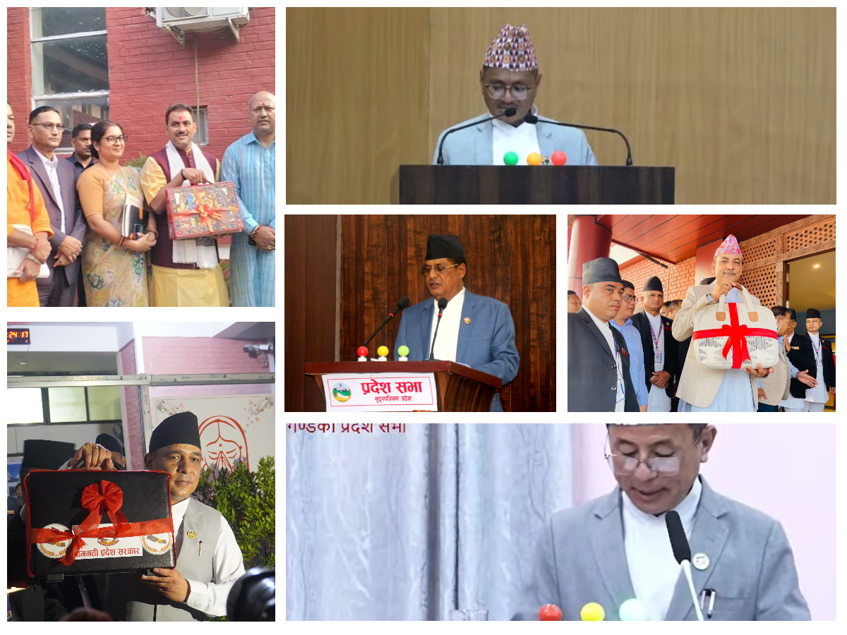 यस्तो छ प्रदेशको बजेट
