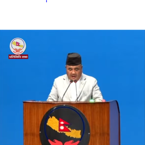 सीमा सुरक्षामा सेनाले अन्य सुरक्षा निकायसँग सहकार्य गरिरहेको छः रक्षामन्त्री राई