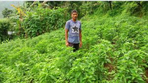तरकारी र दूध बेचेर मासिक एक लाख आम्दानी