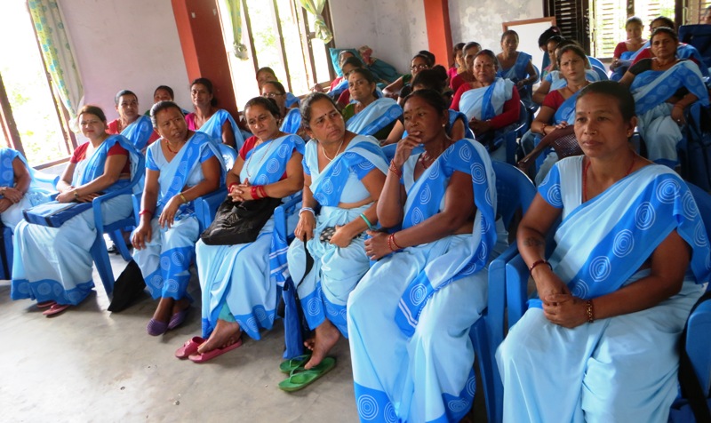 यसरी मनाइयो राष्ट्रिय महिला सामुदायिक स्वास्थ्य स्वयंमसेविका दिवस