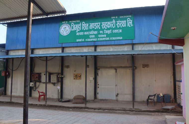 स्याङ्जाको एउटै गाउँबाट साढे दुई करोडको बीउ आलु बिक्री