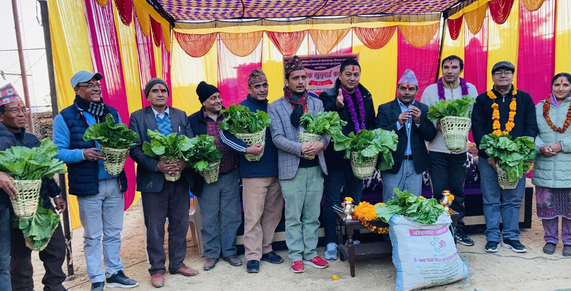 गाउँमा आएका अतिथिलाई चोयाको डोकोमा रायोको साग उपहार