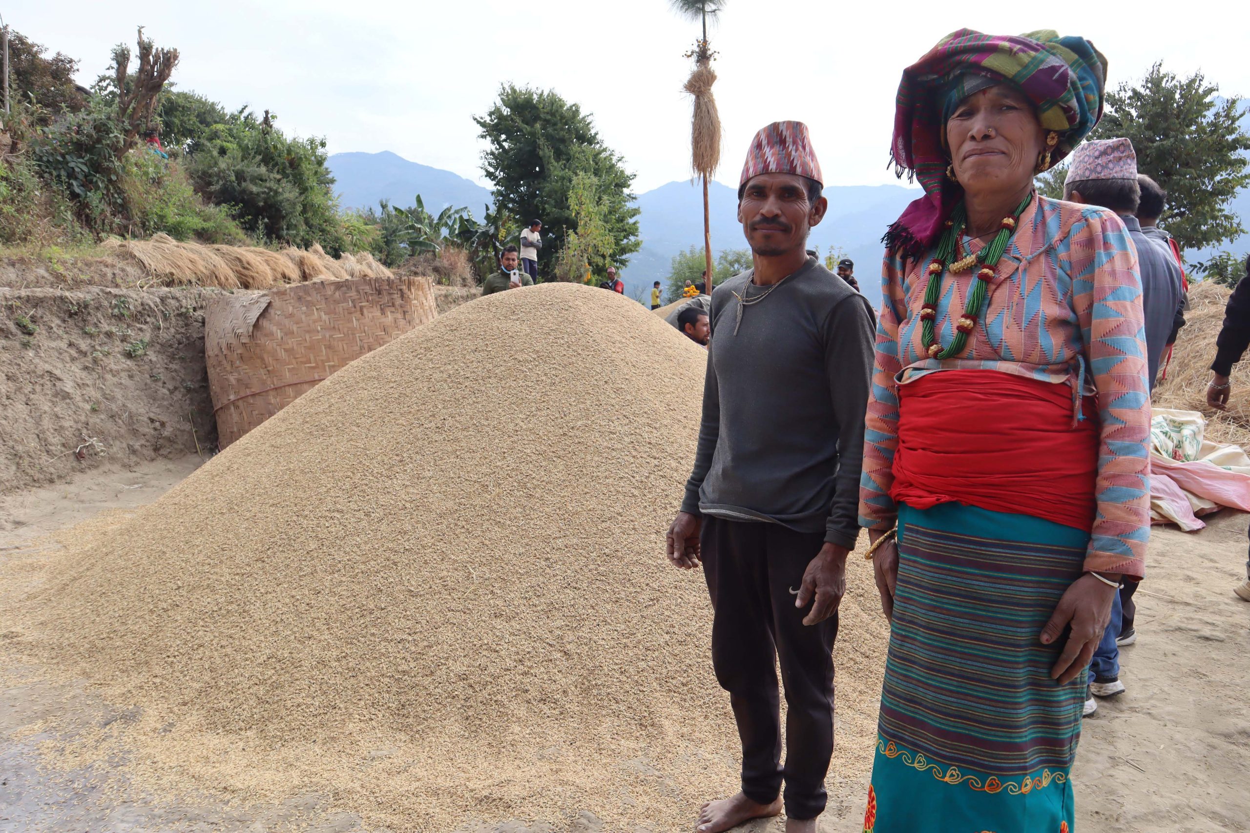 १६८ मुरी धान फलाएका बम्जन दम्पती ५० हजारबाट पुरस्कृत