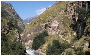 वनमा घाँस काट्ने क्रममा लडेर दुई जनाको मृत्यु