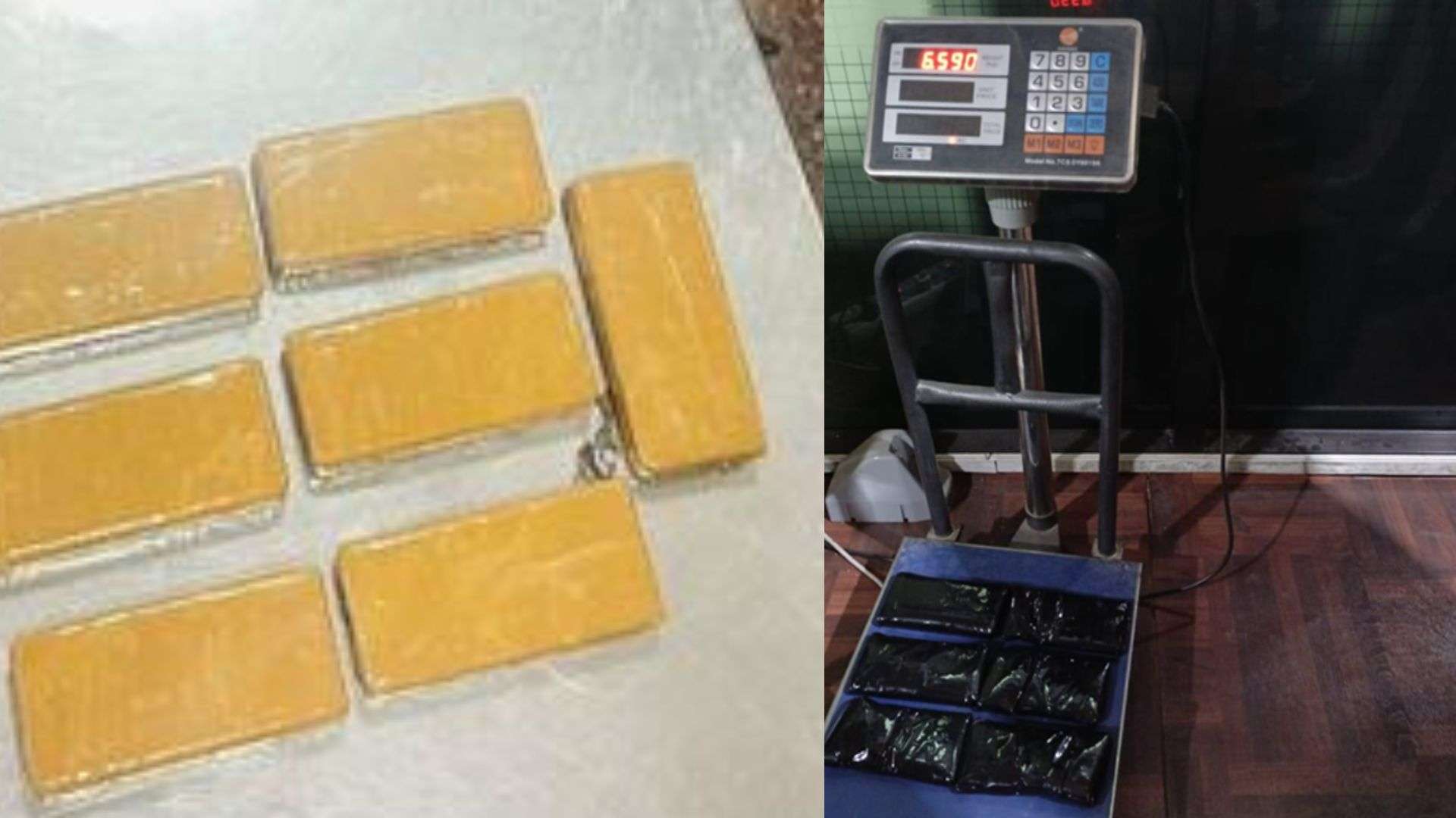 साढे ६ किलो सुनसहित विमानस्थलबाट विदेशी नागरिक पक्राउ