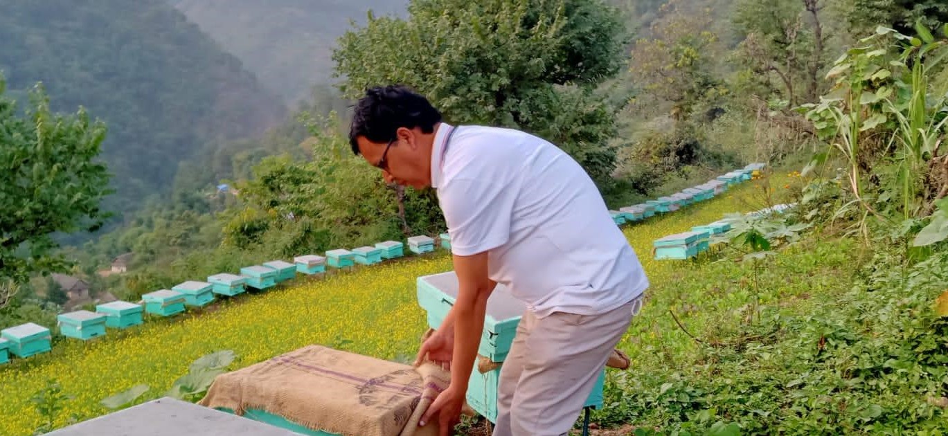 मौरी पालेर वार्षिक आठ लाख रुपैयाँ बचत