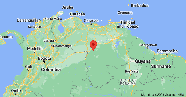 भेनेजुएलामा सवारी दुर्घटनामा १६ जनाको मृत्यु