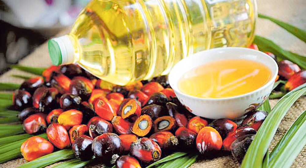 सुस्तायो पाम र भटमासको तेलको व्यापार