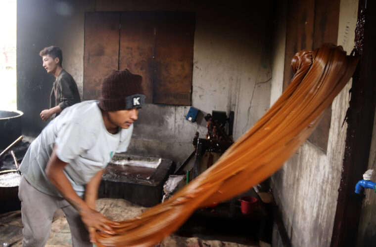 टोखामा चाकु दिवस मनाइँदै