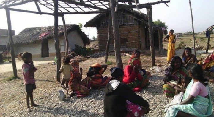 चिसोले महोत्तरीका दलित बस्तीमा विचल्ली