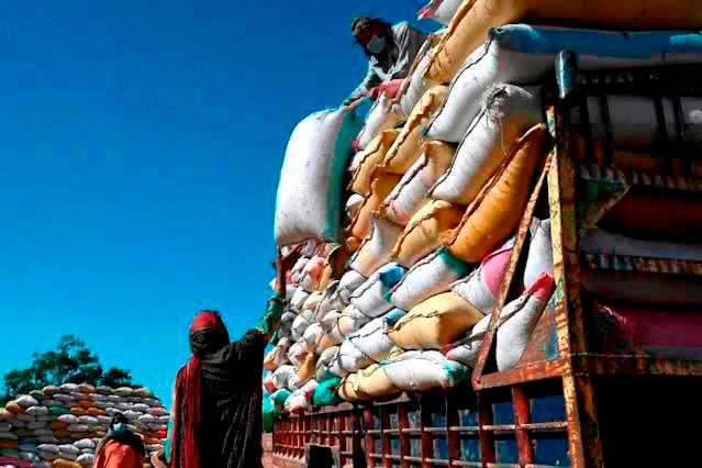 इन्डोनेसियाले सन् २०२४ मा २० लाख टन चामल आयात गर्ने