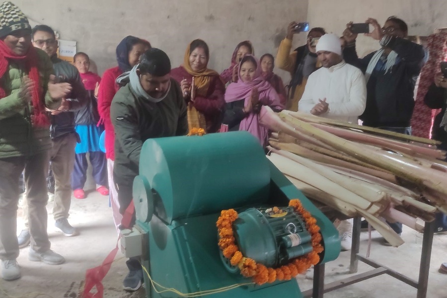 धनसिंहपुरमा केराको थामबाट रेसा उत्पादन गरी कपडा र कार्पेट बनाउन प्रयोग