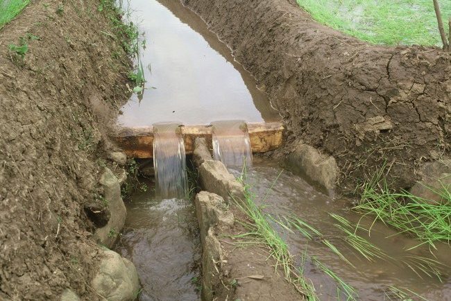 सर्लाहीमा कुलोमा डुबेर दुई वर्षीया बालिकाको मृत्यु