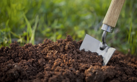 चितवनका तीन पालिकाको माटोमा अम्लियपना वढी देखियो