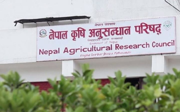 नार्कका कार्यकारी निर्देशकको नियुक्तिबारे तत्काल छानबिन गर्न माग