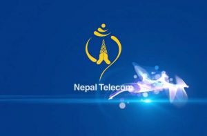 निरन्तर घट्दो नाफाले सङ्कटोन्मुख टेलिकम सेवाप्रदायक