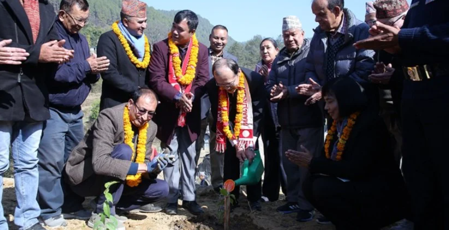 जापानी राजदूतद्वारा लेलेमा साकुराको बिरुवा रोपन