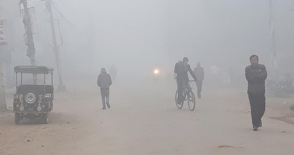 शीतलहरबाट जनजीवन कष्टकर : तरकारीबालीमा डढुवा रोगको जोखिम