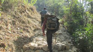 आज एघारौं चुरे संरक्षण दिवस मनाईंदै