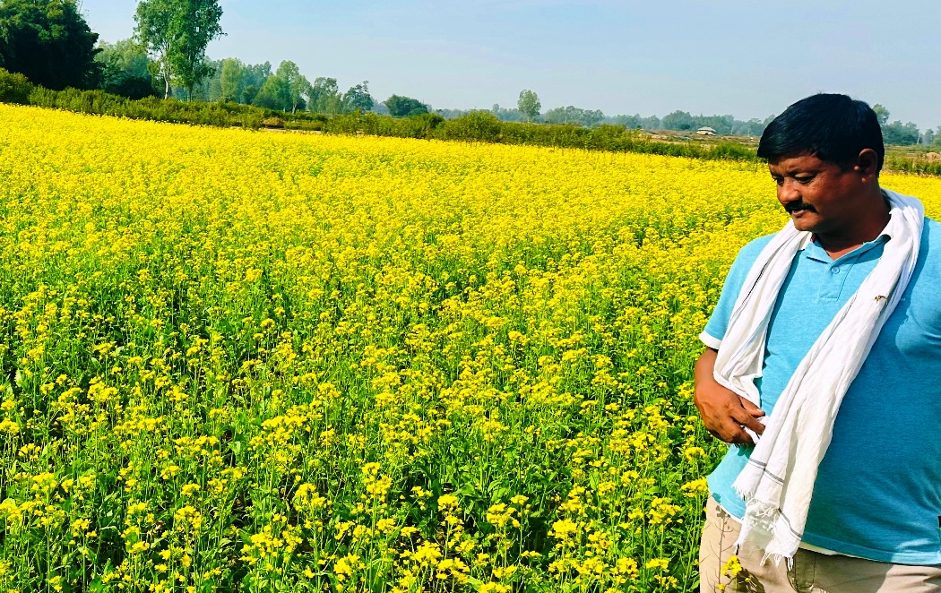 राजनीतिसँगै कृषिकर्ममा पूर्वप्रमुख चौधरी, बीउ बेचेरै गर्छन् १० लाखसम्म आम्दानी