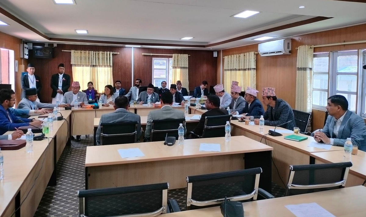 प्रतिनिधिसभामा अब सांसदहरुको विद्युतीय हाजिरी