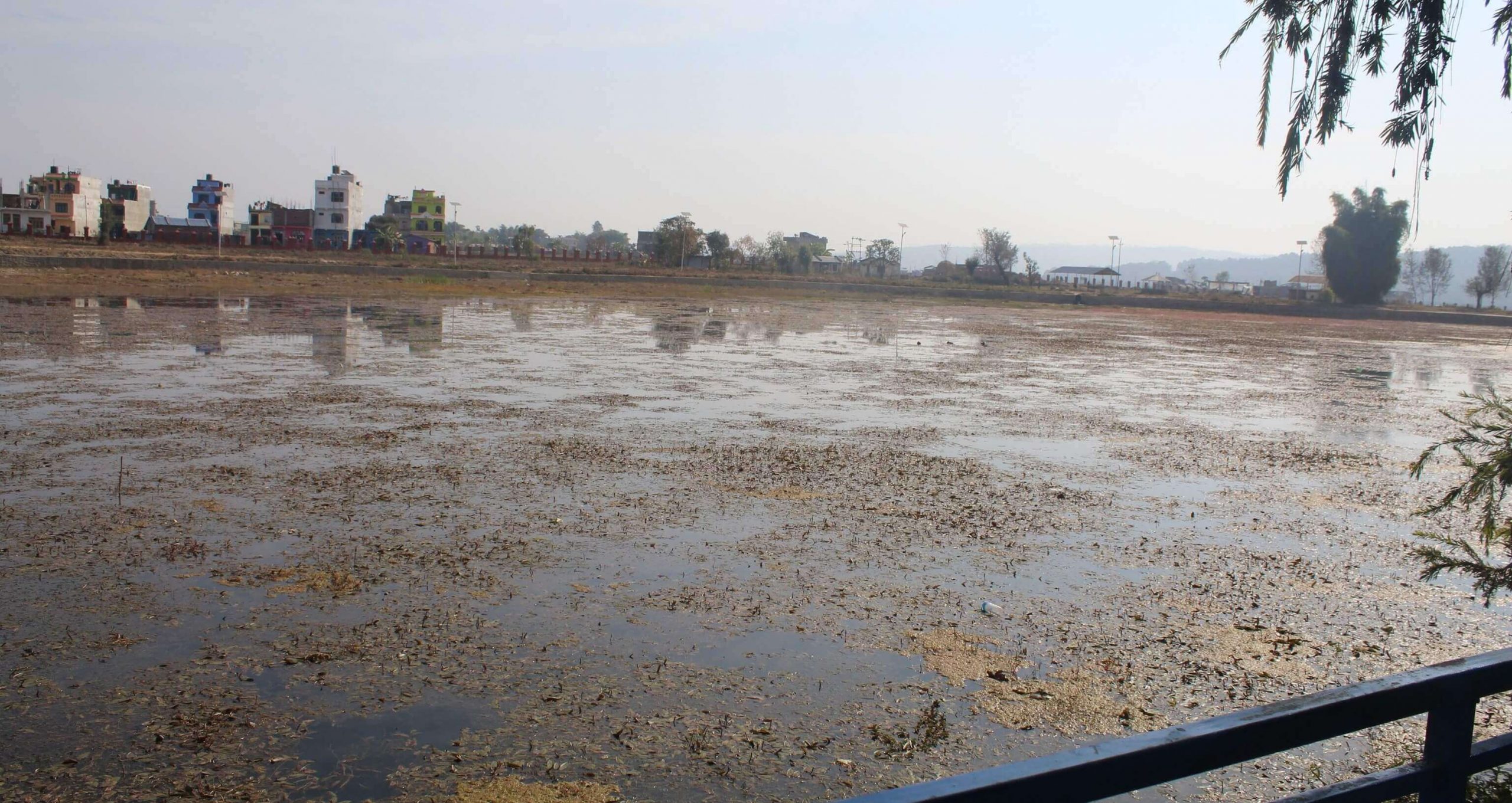 सुर्खेतको बुलबुले तालको पानीमाथि फैलिएको झारपात हटाइँदै