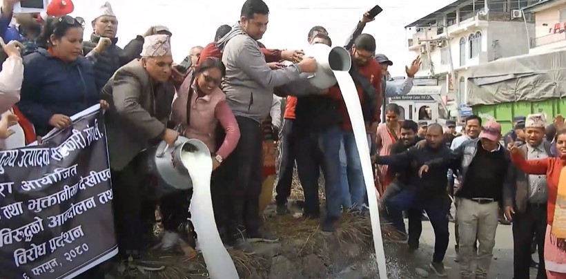 भुक्तानी नपाएपछि सडकमै दूध पोखेर विरोध (भिडियो सहित)