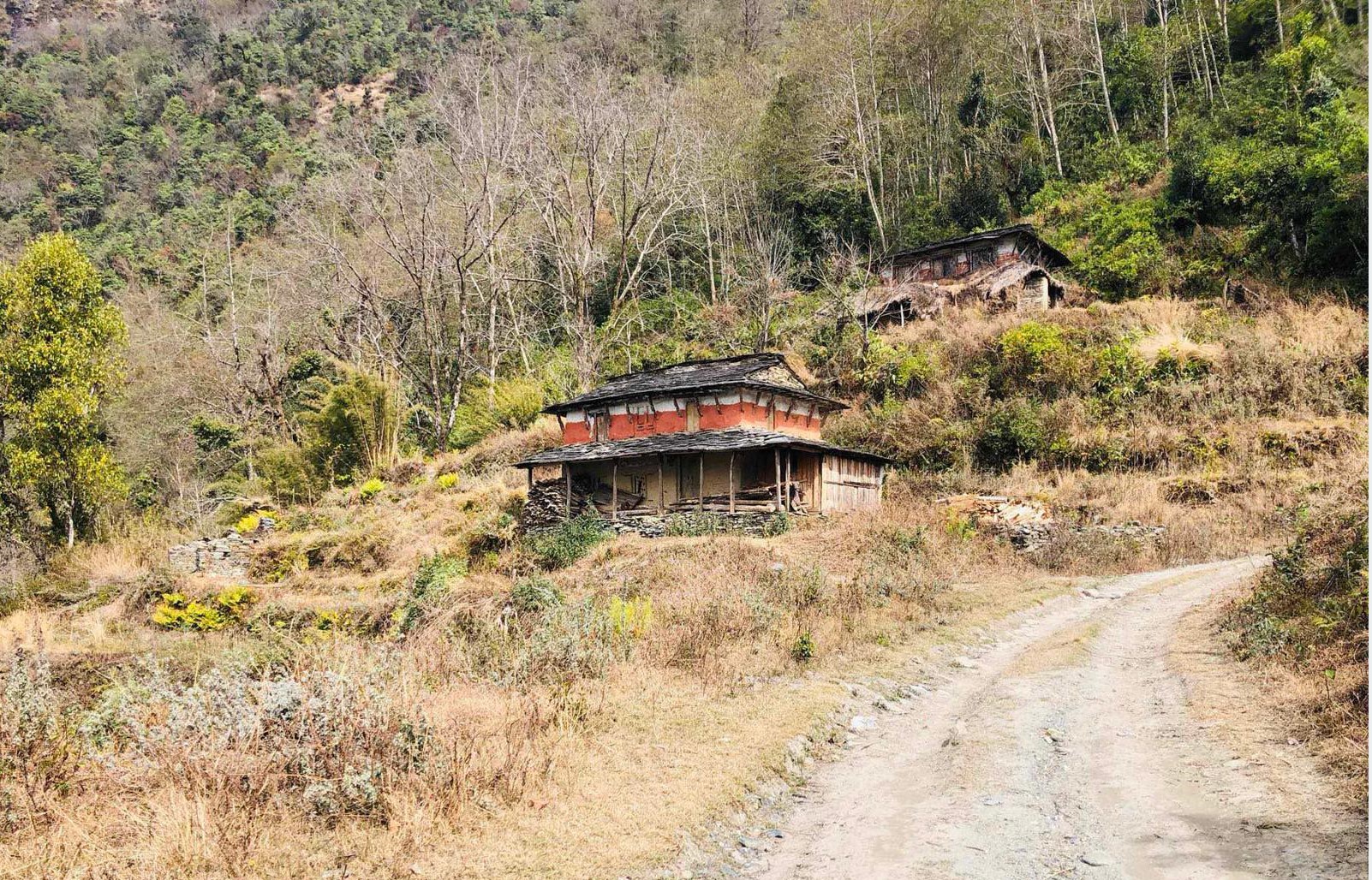विकास र सुविधाले पनि रोकिएन बसाइँसराइ