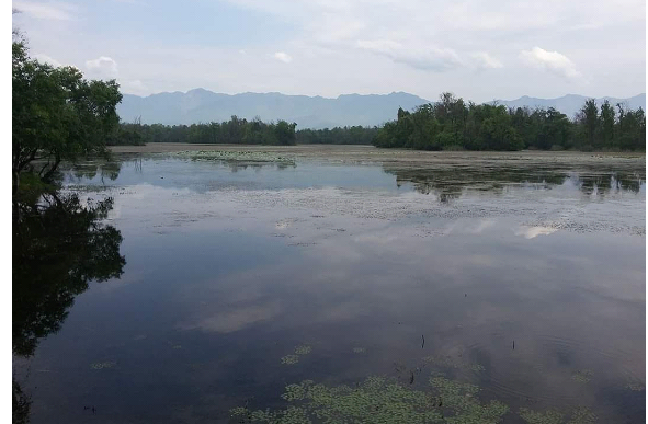 विश्व सिमसार दिवस : अत्यधिक दोहनले सङ्कटमा सिमसार