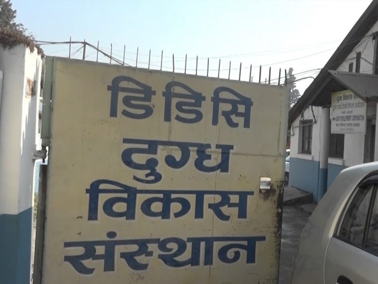 दुग्ध विकास संस्थानले तिर्‍यो ३१ वर्षको सम्पत्ति कर