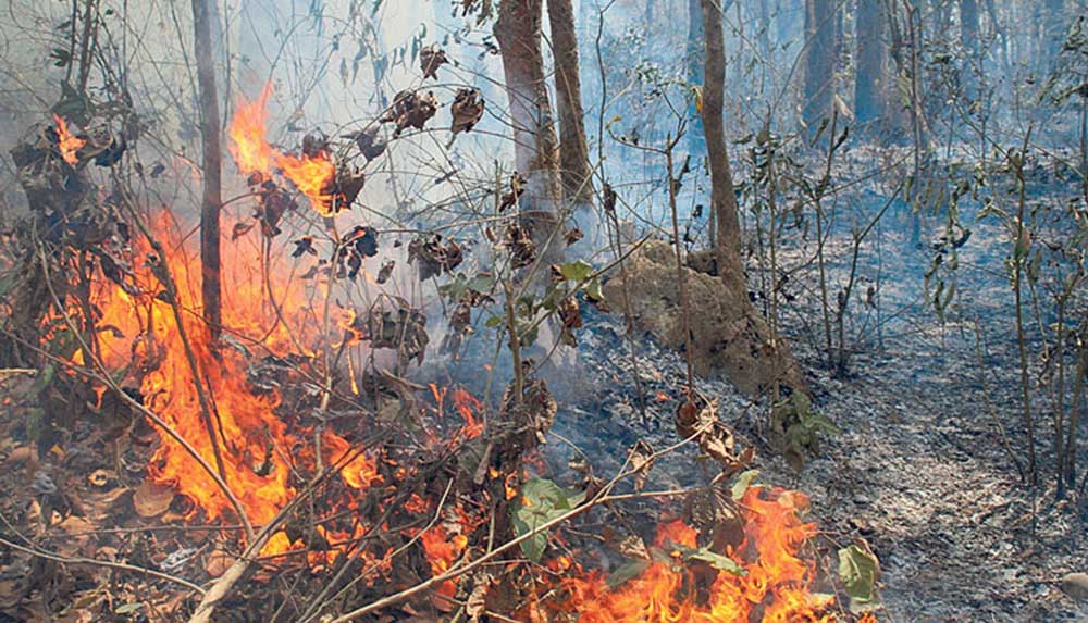 डढेलो र आगलागीका घटना बढे, जोखिमप्रति सावधानी अपनाउन प्रधानमन्त्रीको आग्रह