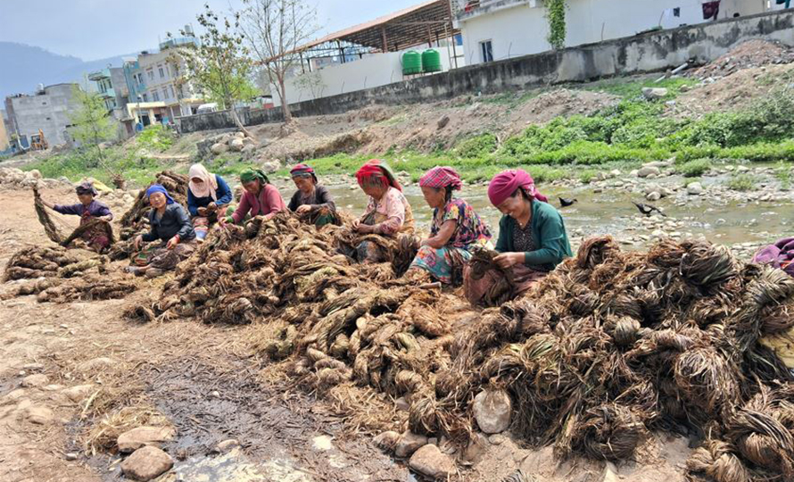 अल्लो उद्योगमा ३५ जना भन्दाबढी महिलालाई रोजगारी, वार्षिक पाँच लाख आम्दानी