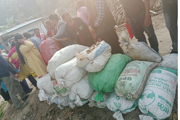 इलामका चार सय ५६ परिवार बेसारखेतीमा रमाउँदै