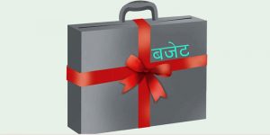 बजेट आज सार्वजनिक हुँदै