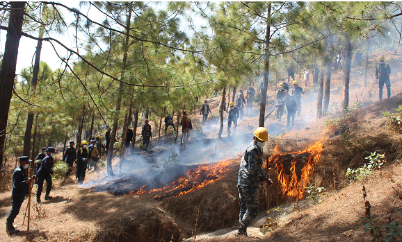सुरक्षाकर्मीद्वारा स्थानीय बासिन्दालाई सहभागी गराएर आगो निभाउने संयुक्त अभ्यास