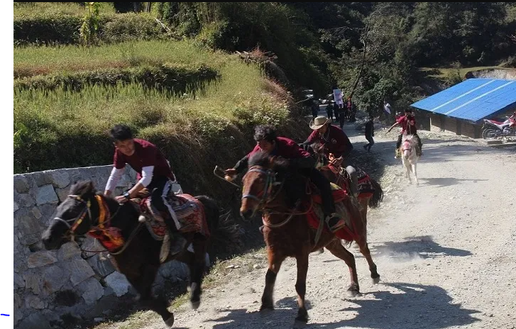 घोडा दौड प्रतियोगिताको उपाधि दीपेन्द्रलाई