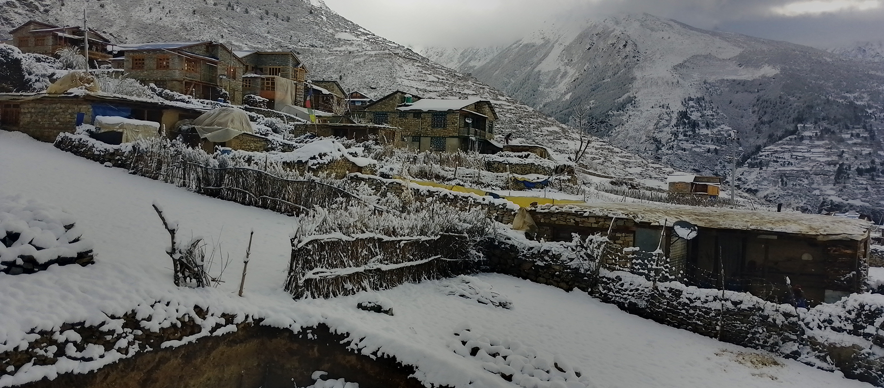 हिमपात र वर्षाले किसानलाई राहत