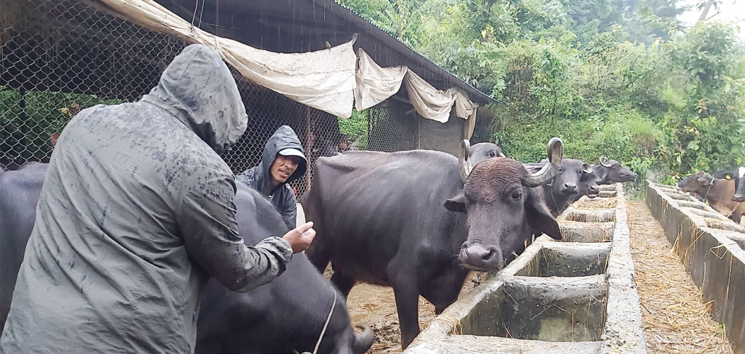 मोरङमा खोरेतविरुद्धको खोप अभियान सुरु